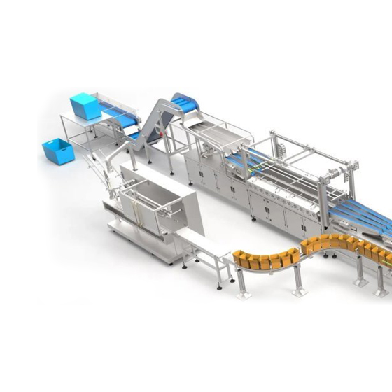全自动理料装盒装箱包装线